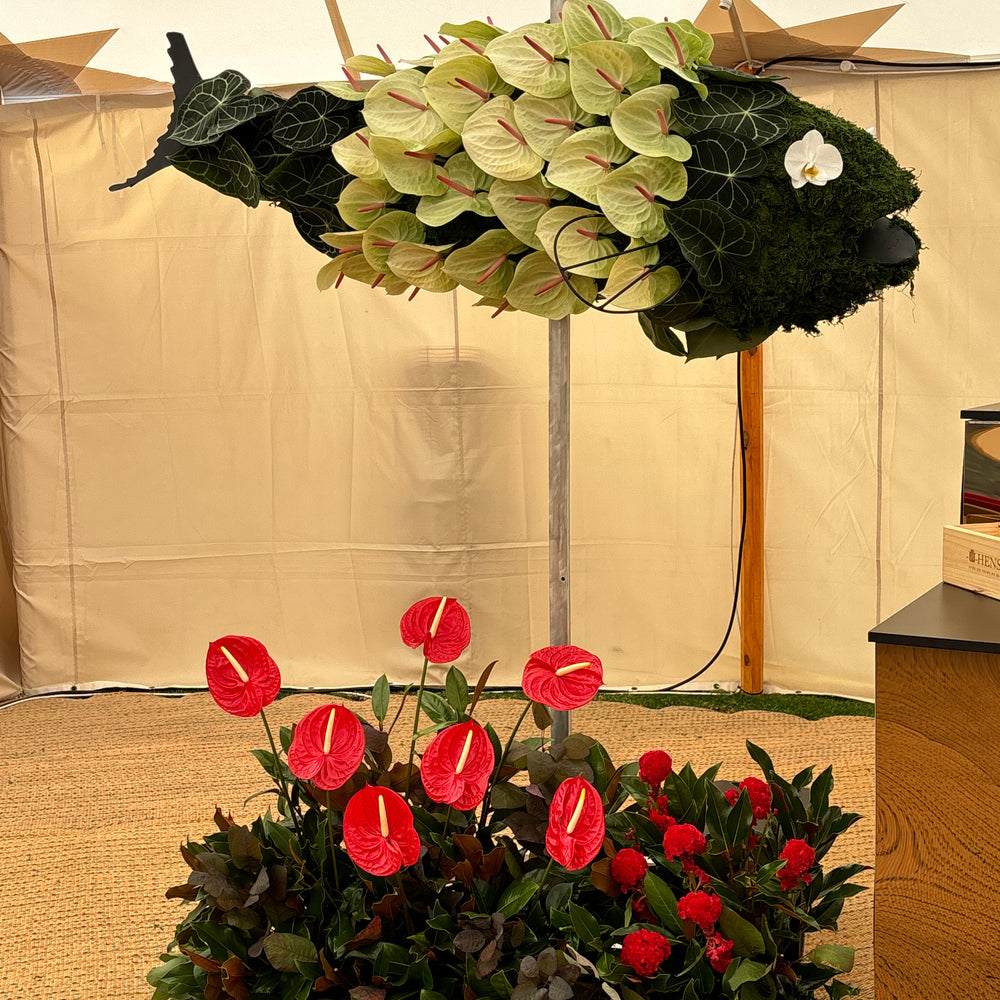 FLOWER BAR BY ONE RUNDLE