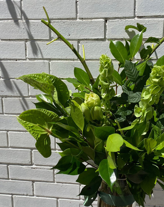 Hobart FLOWER BAR BY ONE RUNDLE