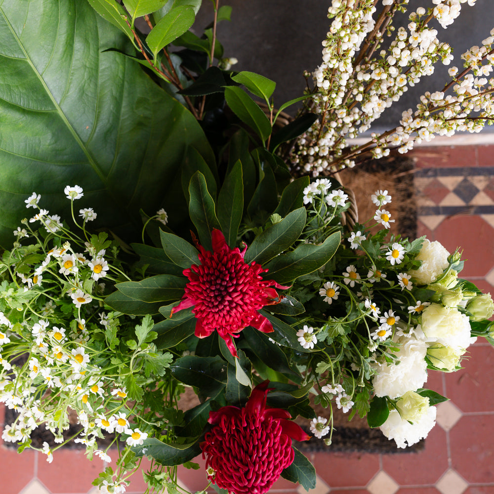 
                      
                        Flowers for Home
                      
                    