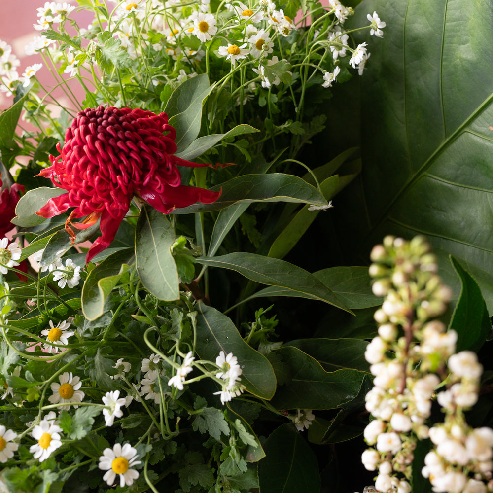 Flowers for Home