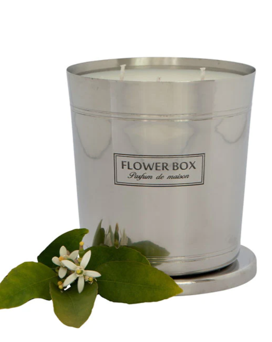 Hallmark Candle Fig Leaf and Cedar